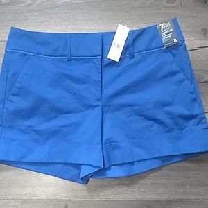 7th avenue New York & company shorts